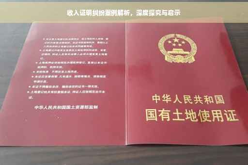 收入证明纠纷案例解析，深度探究与启示