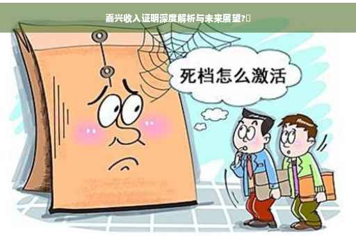 嘉兴收入证明深度解析与未来展望?✨