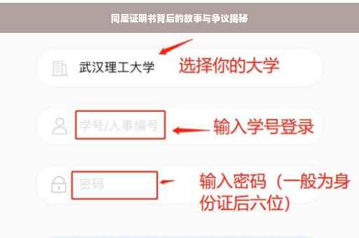 同居证明书背后的故事与争议揭秘