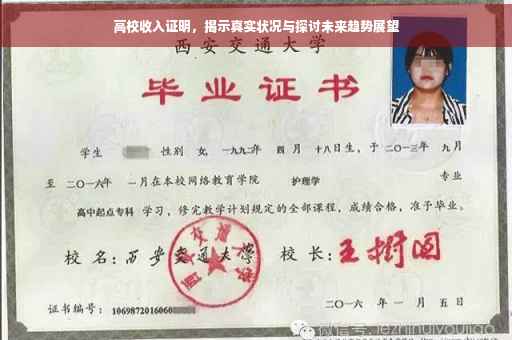 高校收入证明，揭示真实状况与探讨未来趋势展望