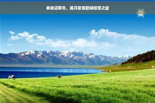 表亲证明书，揭开家族隐秘纽带之谜