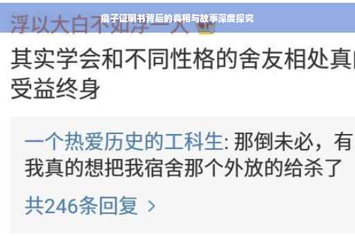 疯子证明书背后的真相与故事深度探究