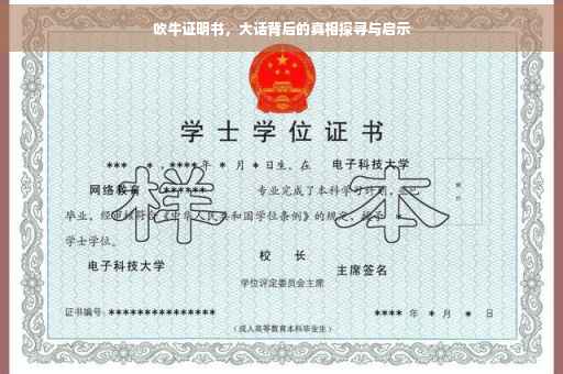 吹牛证明书，大话背后的真相探寻与启示