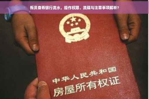 柜员查看银行流水，操作权限、流程与注意事项解析?