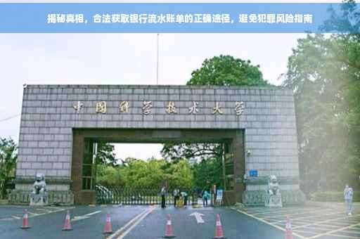揭秘真相，合法获取银行流水账单的正确途径，避免犯罪风险指南
