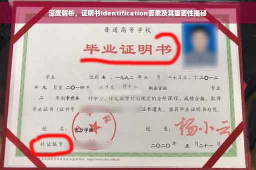 深度解析，证明书Identification要素及其重要性揭秘