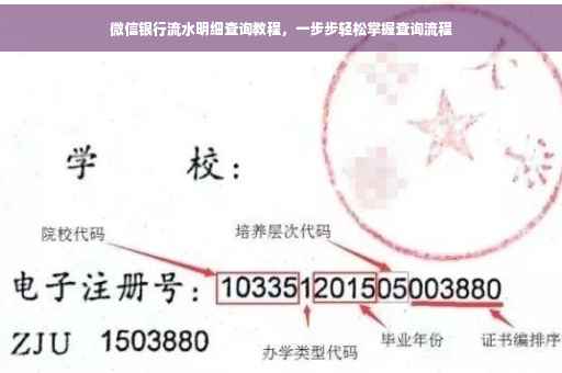 微信银行流水明细查询教程，一步步轻松掌握查询流程