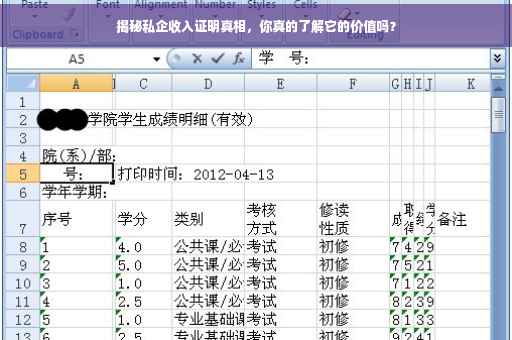 揭秘私企收入证明真相，你真的了解它的价值吗？