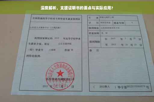 深度解析，支援证明书的要点与实际应用?