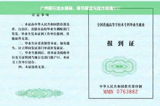 广州银行流水揭秘，细节解读与操作指南?⚡️