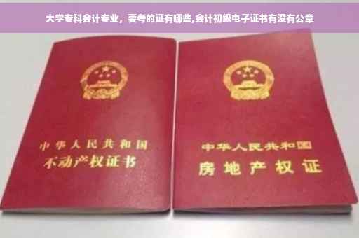 大学专科会计专业，要考的证有哪些,会计初级电子证书有没有公章