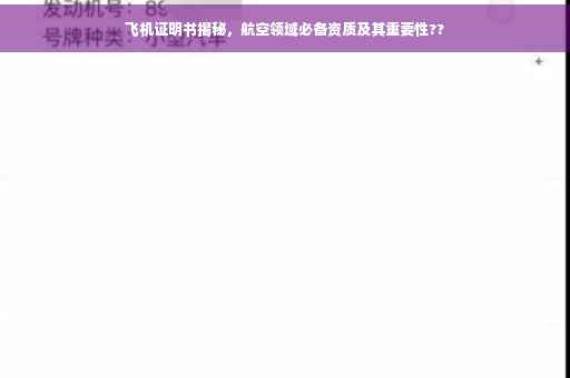 飞机证明书揭秘，航空领域必备资质及其重要性??