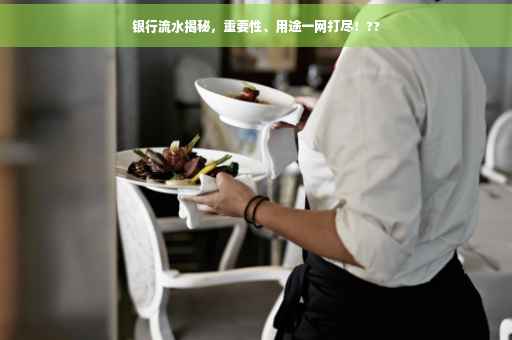 银行流水揭秘，重要性、用途一网打尽！??