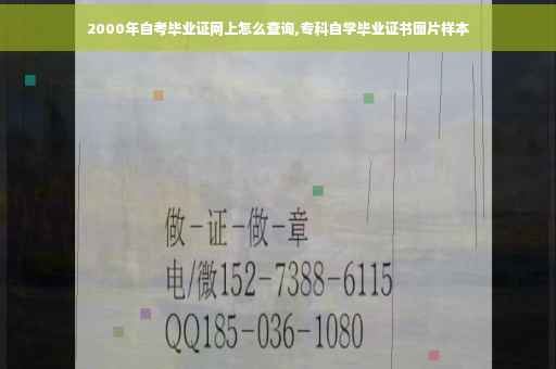 2000年自考毕业证网上怎么查询,专科自学毕业证书图片样本