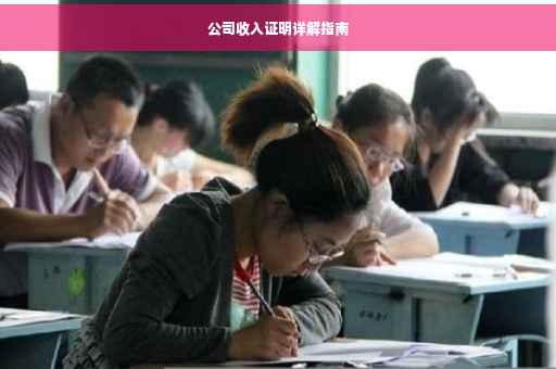 公司收入证明详解指南