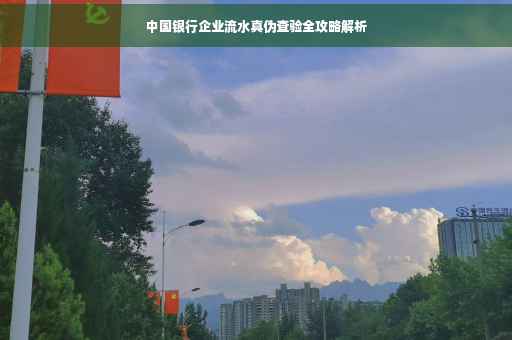 中国银行企业流水真伪查验全攻略解析