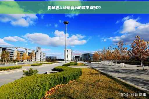 揭秘收入证明背后的数字真相??