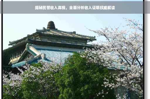 揭秘民警收入真相，全面分析收入证明权威解读