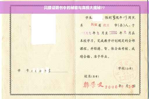 闪腰证明书中的秘密与真相大揭秘??