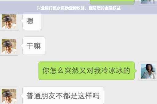 兴业银行流水真伪查询攻略，保障您的金融权益