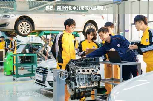 步行，简单行动中的无尽力量与魅力