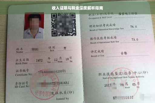 收入证明与税金深度解析指南