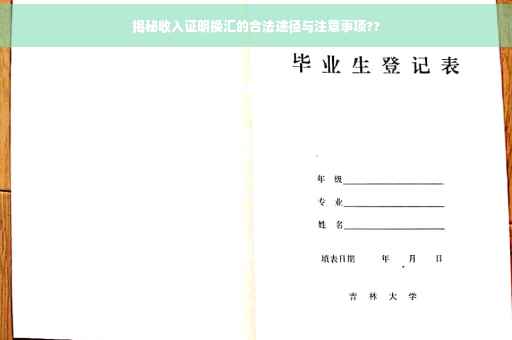 揭秘收入证明换汇的合法途径与注意事项??