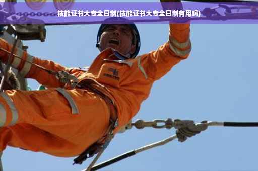 技能证书大专全日制(技能证书大专全日制有用吗)