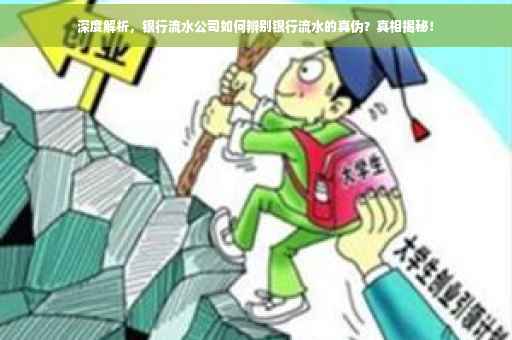 深度解析，银行流水公司如何辨别银行流水的真伪？真相揭秘！
