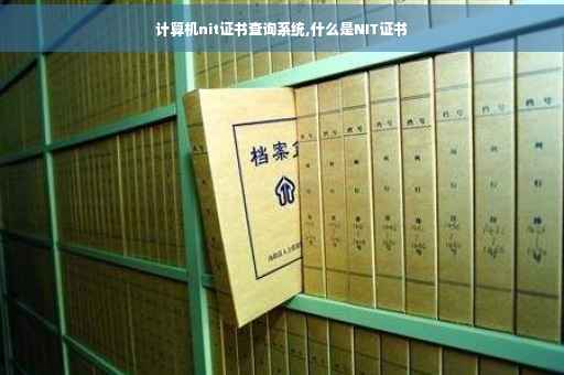 计算机nit证书查询系统,什么是NIT证书