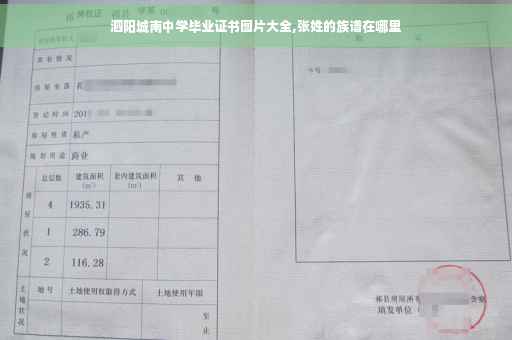 泗阳城南中学毕业证书图片大全,张姓的族谱在哪里