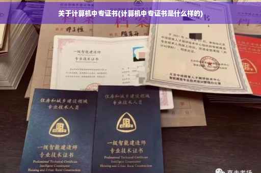 关于计算机中专证书(计算机中专证书是什么样的)