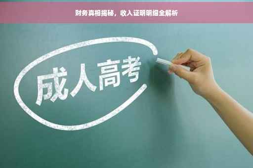 财务真相揭秘，收入证明明细全解析