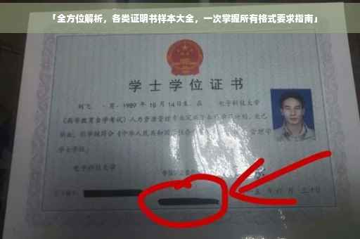 「全方位解析，各类证明书样本大全，一次掌握所有格式要求指南」