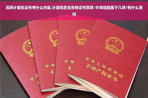 高级计算机证书考什么内容,计算机职业资格证书四级/中级技能属于几级?有什么用吗