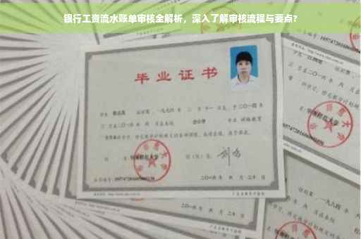 银行工资流水账单审核全解析，深入了解审核流程与要点?