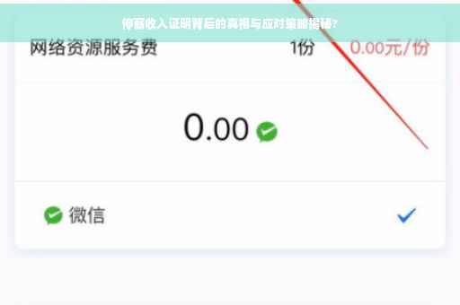 停薪收入证明背后的真相与应对策略揭秘?
