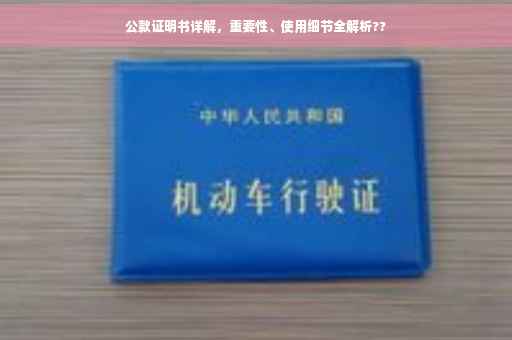 公款证明书详解，重要性、使用细节全解析??
