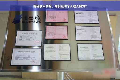 揭秘收入真相，如何证明个人收入实力？