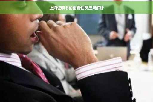 上海证明书的重要性及应用解析