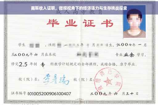 商贩收入证明,微观视角下的经济活力与生存挑战探索 商贩收入证明,微观视角下的经济活力与生存挑战探索