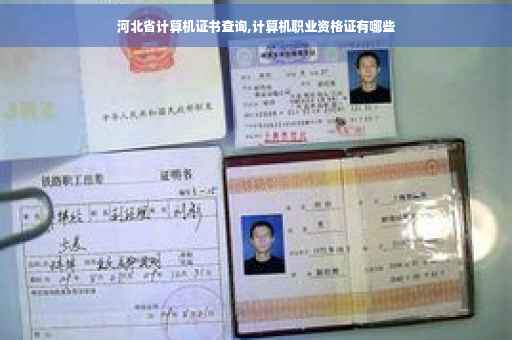 河北省计算机证书查询,计算机职业资格证有哪些