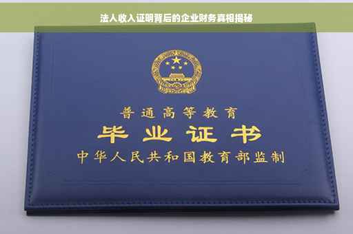 法人收入证明背后的企业财务真相揭秘