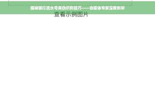 揭秘银行流水号真伪识别技巧——自媒体专家深度剖析