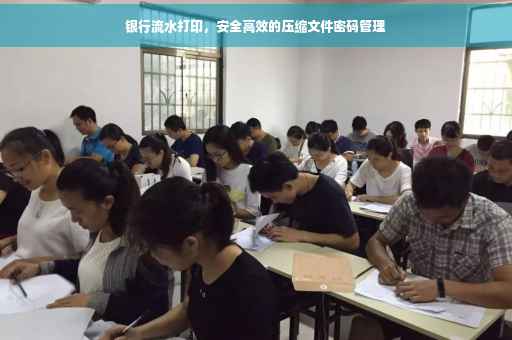 银行流水打印，安全高效的压缩文件密码管理