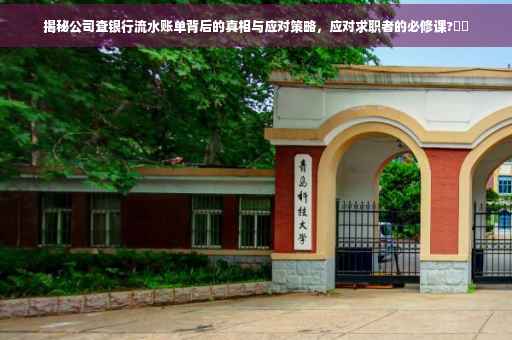 揭秘公司查银行流水账单背后的真相与应对策略，应对求职者的必修课?⚡️