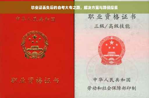 毕业证丢失后的自考大专之路，解决方案与路径探索