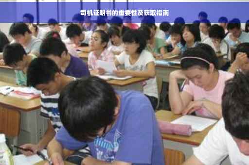 司机证明书的重要性及获取指南