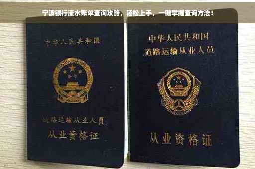 宁波银行流水账单查询攻略，轻松上手，一键掌握查询方法！