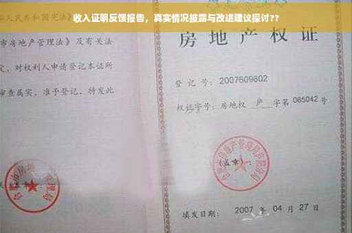 收入证明反馈报告，真实情况披露与改进建议探讨??